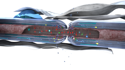 Node of Ranvier