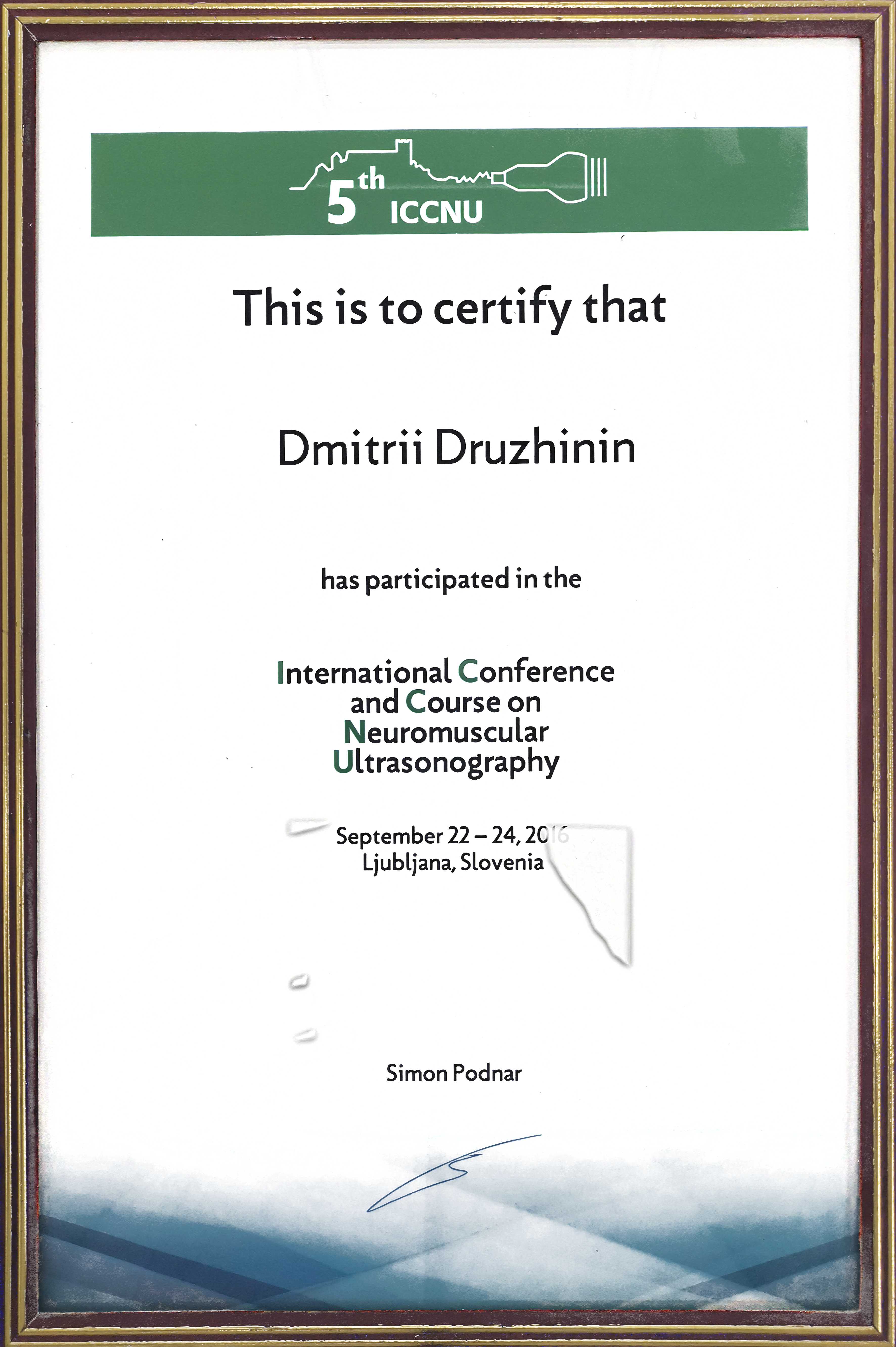 Врач невролог, нейрофизиолог, д.м.н. профессор Дружинин Дмитрий Сергеевич