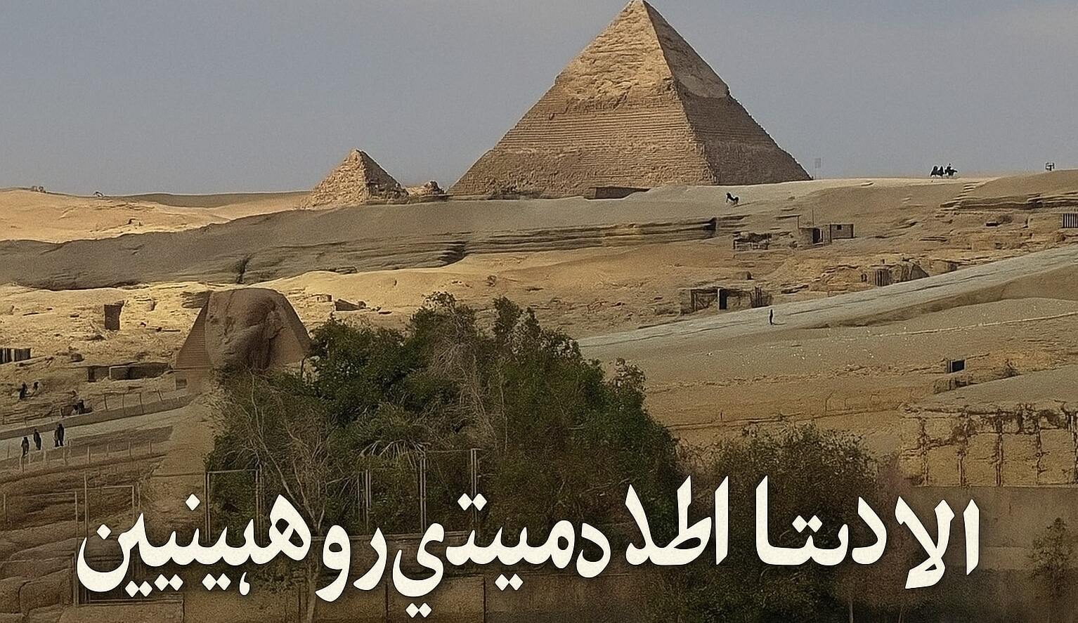 schedule conferences